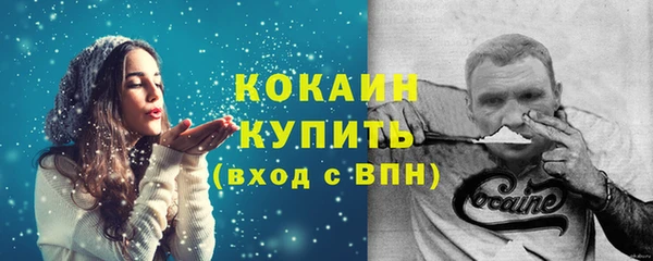 гидра Киренск