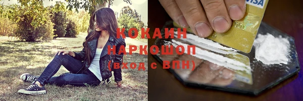 гидра Киренск