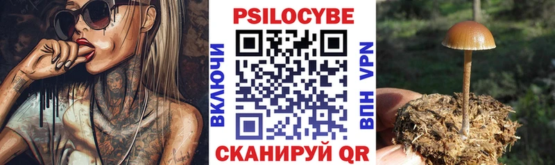 где купить наркоту  Сураж  МЕГА маркетплейс  Галлюциногенные грибы Psilocybe 